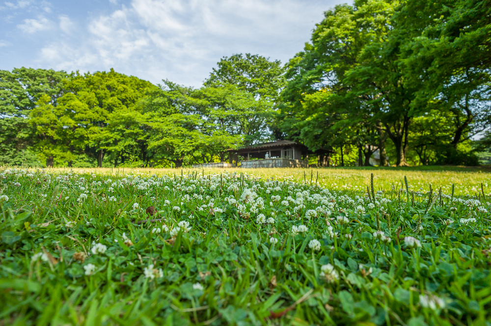 AVENON Super Wide 21mm f2.8 | ほどよくライカ